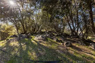 39301 Moonray Ln, Oakhurst, CA 93644 - Photo 43