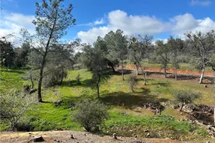 4456 Mount Bullion Cut Off, Catheys Valley, CA 95306 - Photo 5