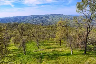 41345 Lilley Mountain R, Coarsegold, CA 93614 - Photo 63