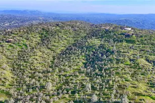 41345 Lilley Mountain R, Coarsegold, CA 93614 - Photo 69