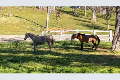 4421 Scrubby Oak, Mariposa, CA 95338 - Photo 67