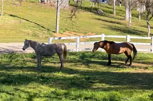 4421 Scrubby Oak, Mariposa, CA 95338 - Photo 67