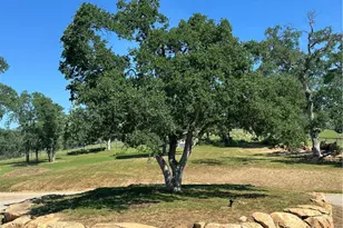 5427 Shooting Star Rd, Catheys Valley, CA 95306 - Photo 47