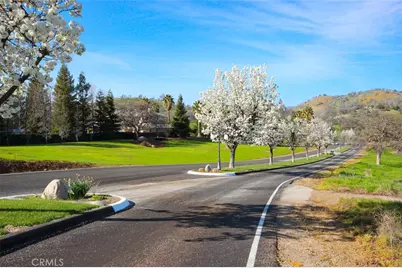 3212 Silver Bush Place, Catheys Valley, CA 95306 - Photo 71