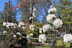 5606 Silverstrand Fall, Mariposa, CA 95338 - Photo 57