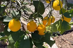 5606 Silverstrand Fall, Mariposa, CA 95338 - Photo 55