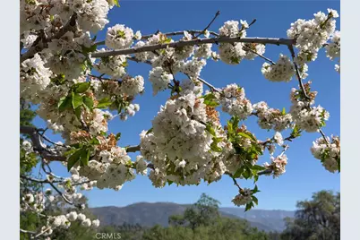 4780 Morningstar Lane, Mariposa, CA 95338 - Photo 7