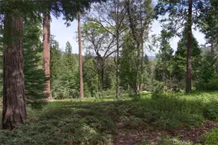 7174 Hites Cove, Mariposa, CA 95338 - Photo 55