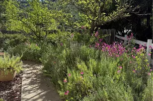 5277 Hwy 49 N, Mariposa, CA 95338 - Photo 29