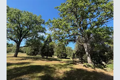 4918 Indian Peak, Mariposa, CA 95338 - Photo 37