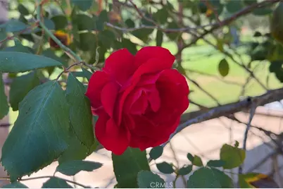 4949 Indian Peak, Mariposa, CA 95338 - Photo 47