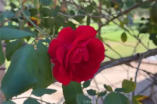 4949 Indian Peak, Mariposa, CA 95338 - Photo 47