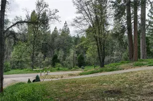 53213 Rd 432, Bass Lake, CA 93604 - Photo 43