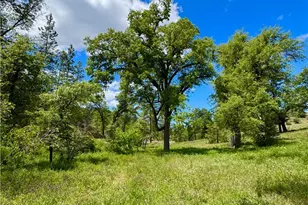 5628 E Whitlock Rd, Mariposa, CA 95338 - Photo 3