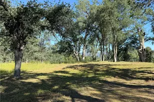 4952 Hidden Springs, Mariposa, CA 95338 - Photo 7
