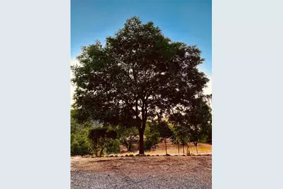 5636 E Whitlock, Mariposa, CA 95338 - Photo 5