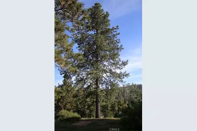 5636 E Whitlock, Mariposa, CA 95338 - Photo 35