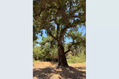 4121 Old Hwy, Mariposa, CA 95338 - Photo 49