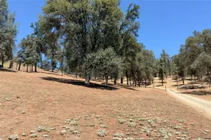 4121 Old Hwy, Mariposa, CA 95338 - Photo 43