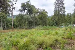 36686 Mattie Fhy Ct, Coarsegold, CA 93614 - Photo 51