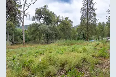 36686 Mattie Fhy Court, Coarsegold, CA 93614 - Photo 51