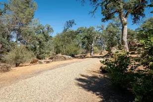 3619 Fig Tree Spring, Mariposa, CA 95338 - Photo 33