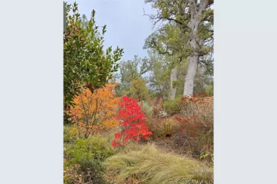 3619 Fig Tree Spring, Mariposa, CA 95338 - Photo 37