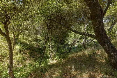149 Acres Old Yosemite Road, Oakhurst, CA 93644 - Photo 47