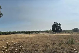 10050 Cressey St, Cressey, CA 95312 - Photo 3