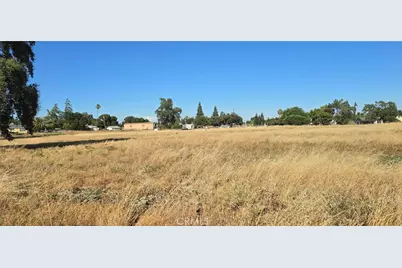 10050 Cressey Street, Cressey, CA 95312 - Photo 7
