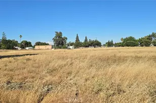 10050 Cressey St, Cressey, CA 95312 - Photo 7