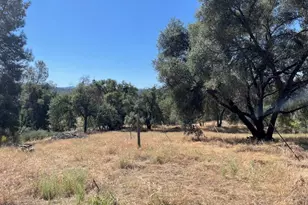 3877 Lopa Rd, Mariposa, CA 95338 - Photo 37