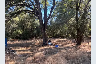 4614 - 4616 Yaqui Gulch, Mariposa, CA 95338 - Photo 45