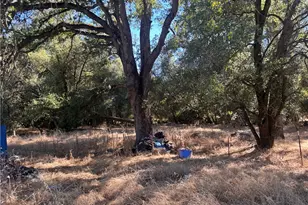 4614 - 4616 Yaqui Gulch, Mariposa, CA 95338 - Photo 45