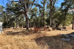 4614 - 4616 Yaqui Gulch, Mariposa, CA 95338 - Photo 37