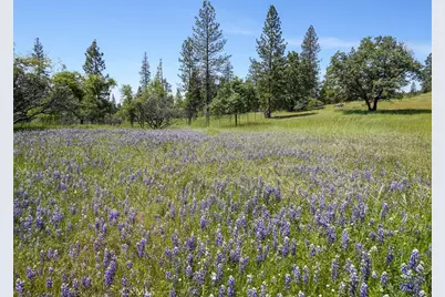 3137 Triangle, Mariposa, CA 95338 - Photo 31