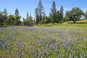3137 Triangle, Mariposa, CA 95338 - Photo 31