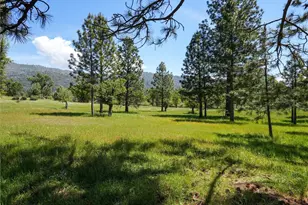 3137 Triangle, Mariposa, CA 95338 - Photo 37