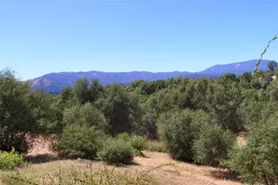 46316 Eastwood, Oakhurst, CA 93644 - Photo 45