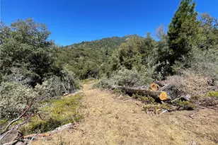 6122 Chowchilla Mountain, Mariposa, CA 95338 - Photo 49