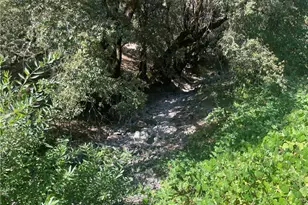 6246 Hwy 140, Midpines, CA 95345 - Photo 31