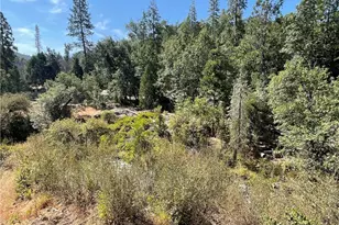 6246 Hwy 140, Midpines, CA 95345 - Photo 39