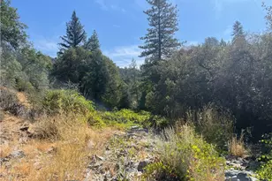 6246 Hwy 140, Midpines, CA 95345 - Photo 43