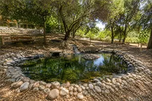 40403 Rd 425A, Oakhurst, CA 93644 - Photo 47