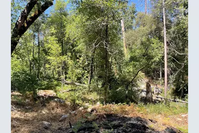 5601 Red Ibis Court, Mariposa, CA 95338 - Photo 49
