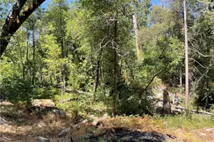 5601 Red Ibis Ct, Mariposa, CA 95338 - Photo 49