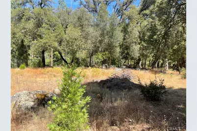 5601 Red Ibis Court, Mariposa, CA 95338 - Photo 37