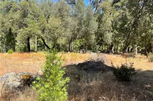 5601 Red Ibis Ct, Mariposa, CA 95338 - Photo 37