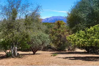 1956 Wild Horse, Mariposa, CA 95338 - Photo 63