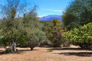 1956 Wild Horse, Mariposa, CA 95338 - Photo 63